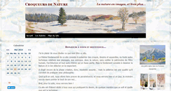 Desktop Screenshot of croqueurs-de-nature.com
